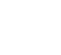 TEF Silver Award