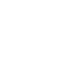 TEF Silver Award