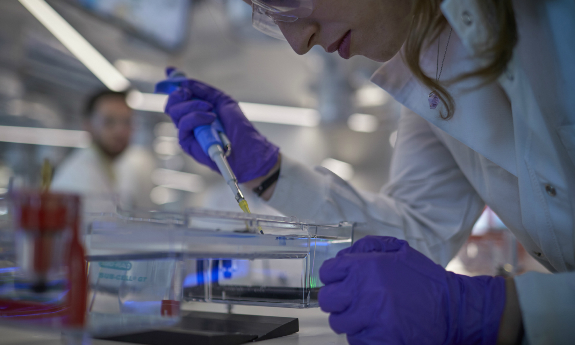 Biomedical Science MSc Biomedical Sciences | Abertay University