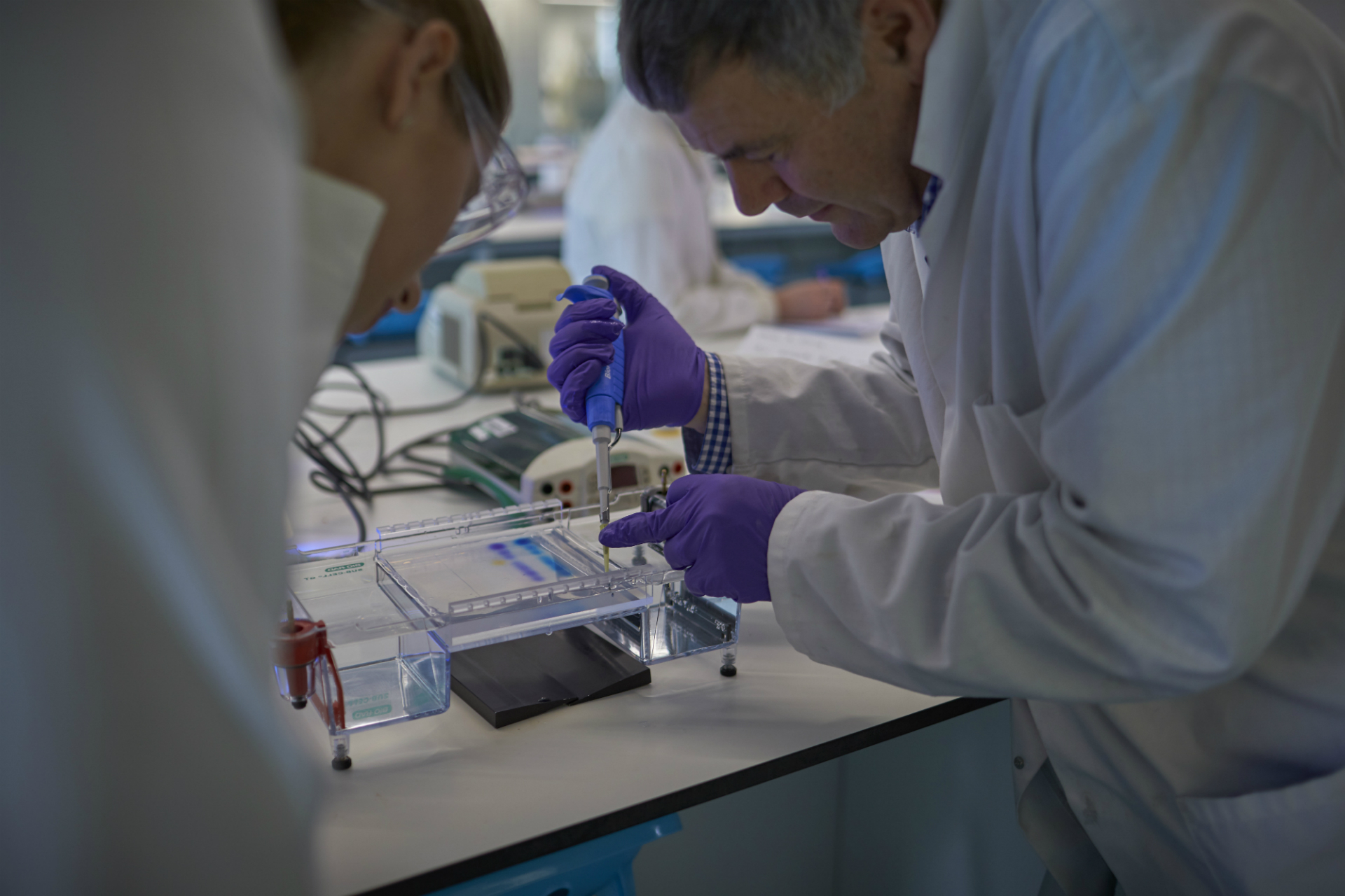 Lab environment - two males carrying out an experiment