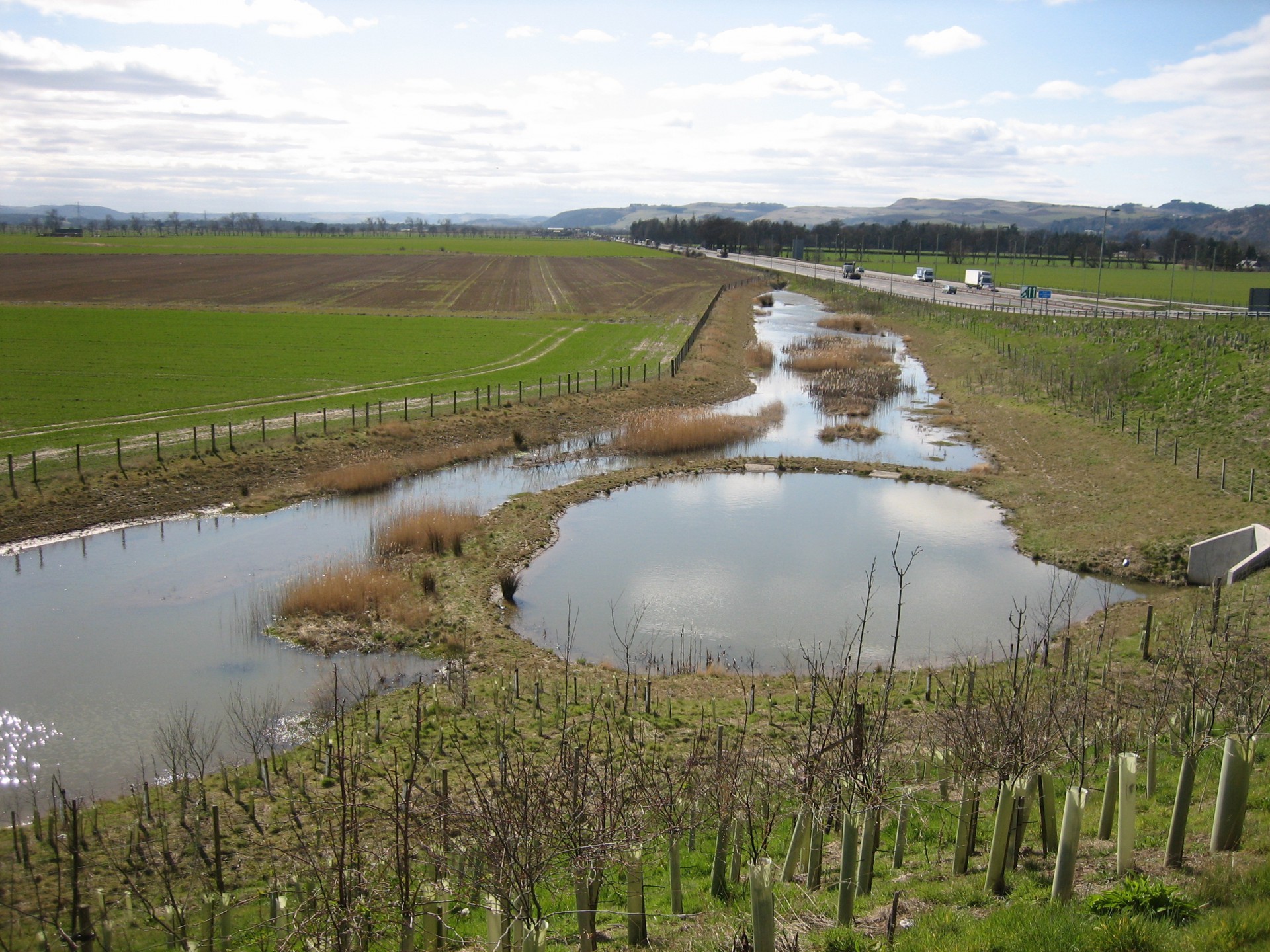 Retention Ponds Abertay University