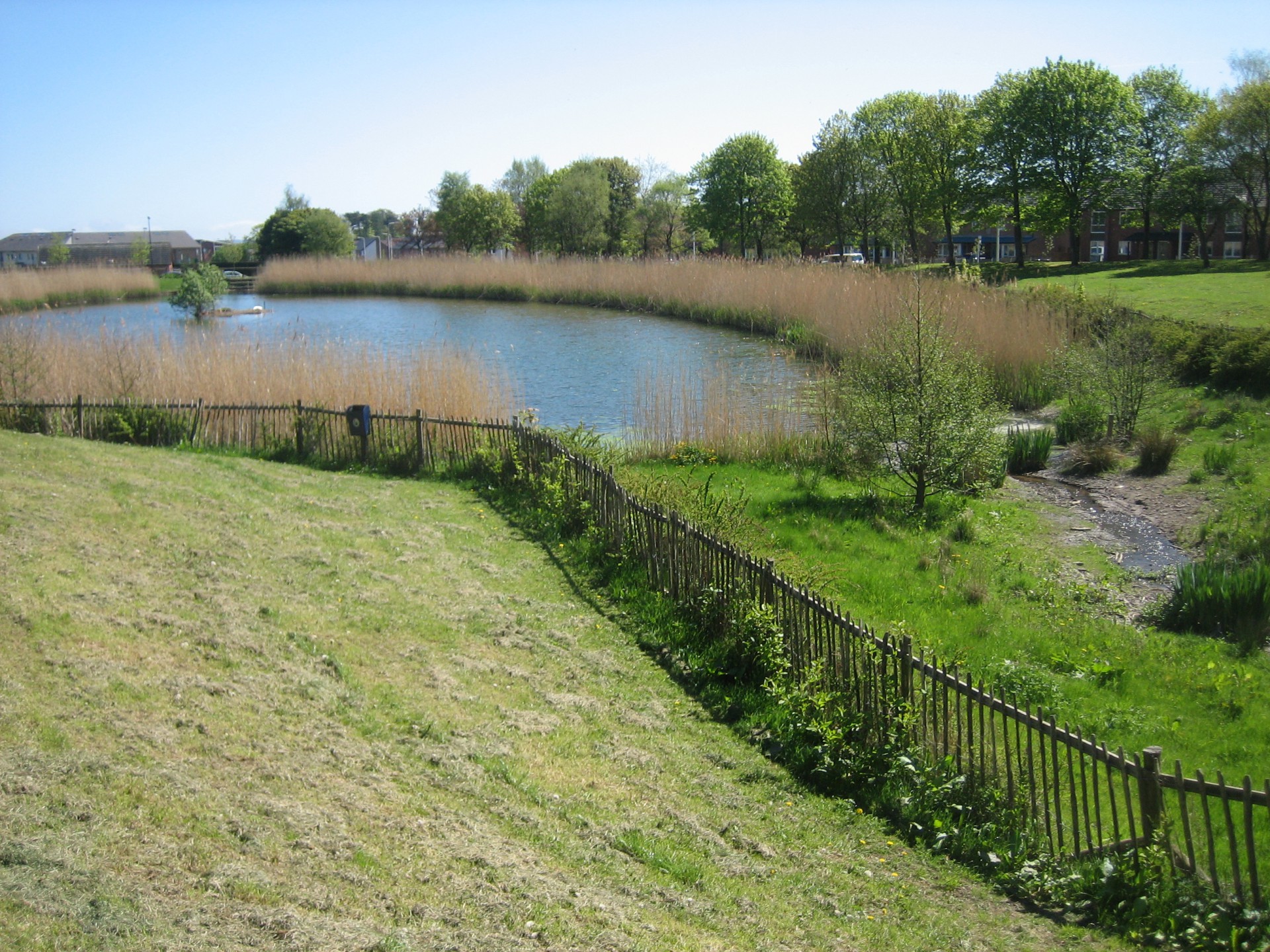 Retention Ponds Abertay University