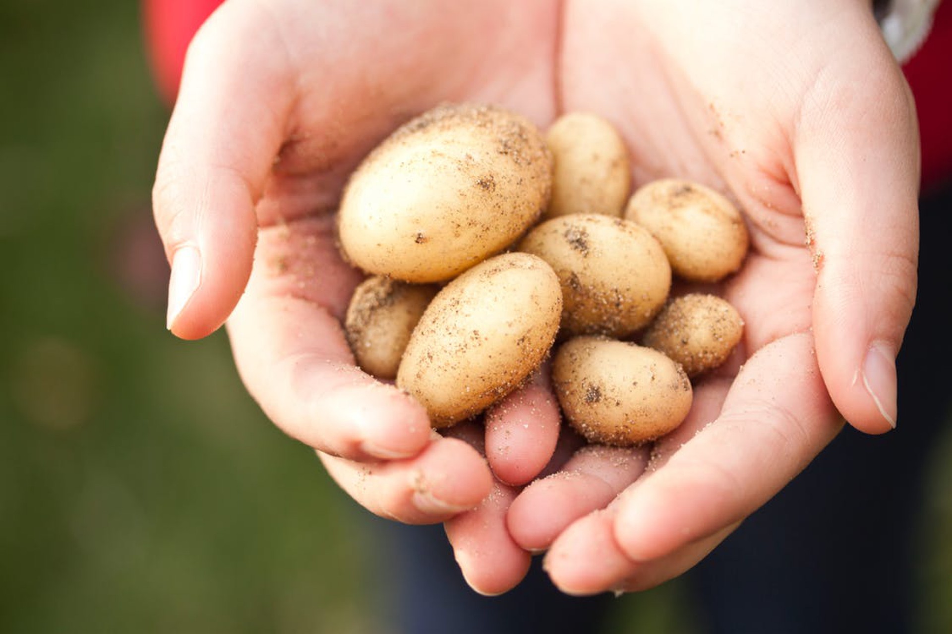 £2m research project to boost food safety