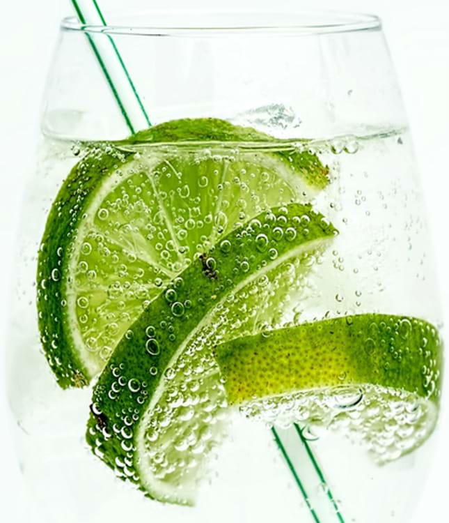 pic of 2 limes sitting in a gin glass