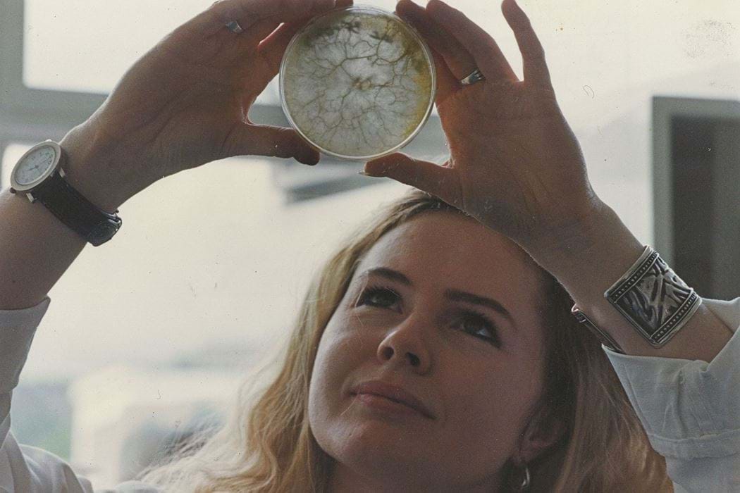 Female staff member, Professor Nia White, Abertay University, looking at petri dish
