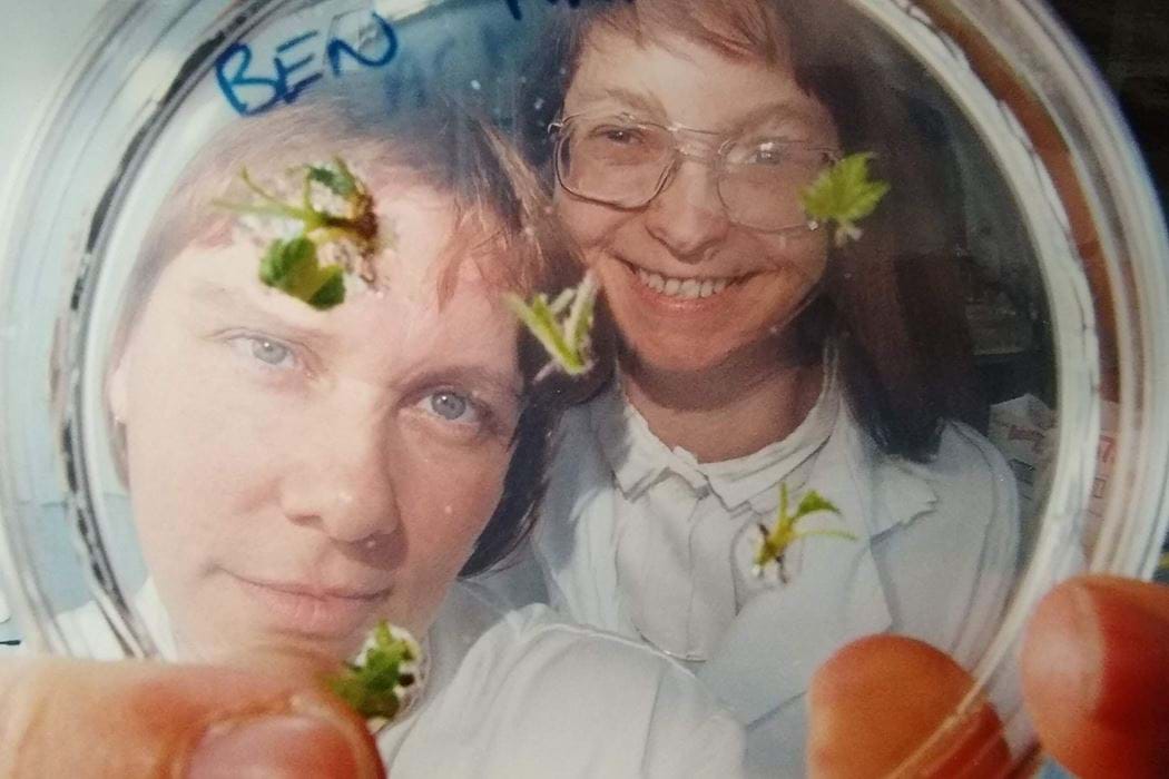 Two people at Abertay looking at plant specimens in a perti dish 