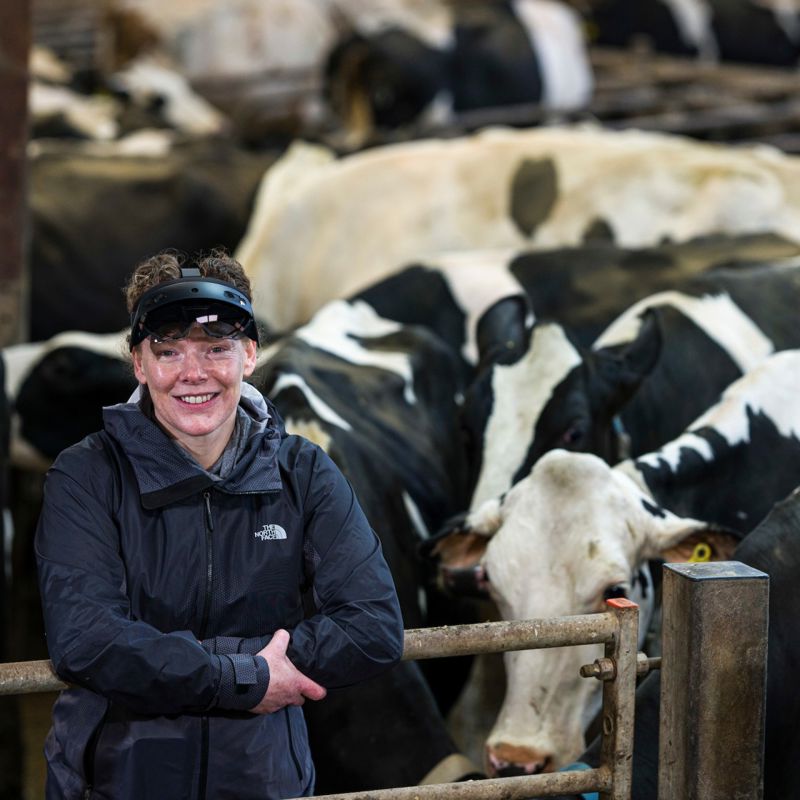 Videogame technology used to enhance cow health at dairy farms