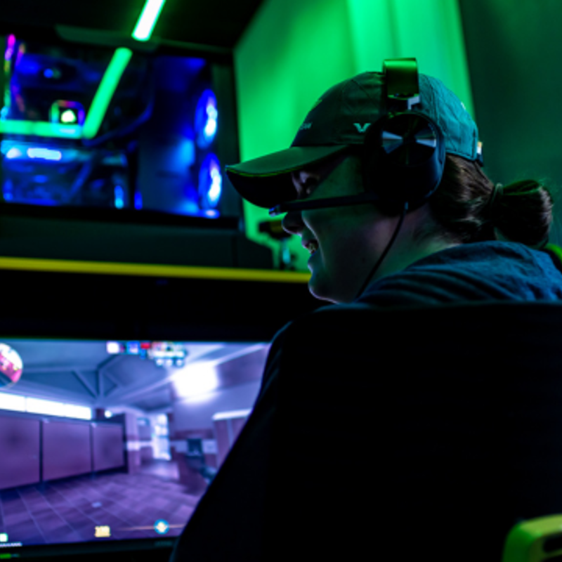 New video games and digital arts labs to support teaching and research